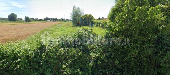 14998m² Land in Massarosa, Italy No. 325639 4