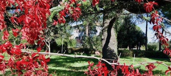 25 bedrooms Villa in Montepulciano, Italy No. 175128 20