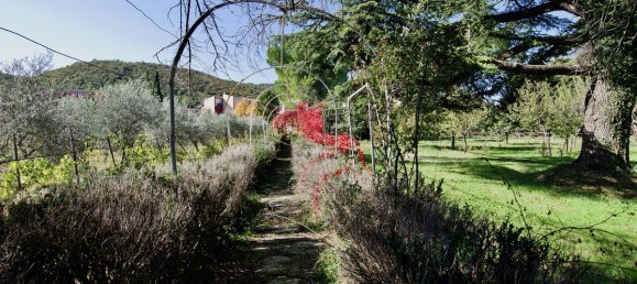 25 bedrooms Villa in Montepulciano, Italy No. 175128 13