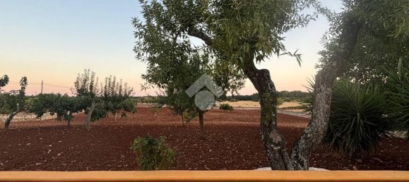 Casa de 3 dormitorios en Martina Franca, Italy No. 282549 46