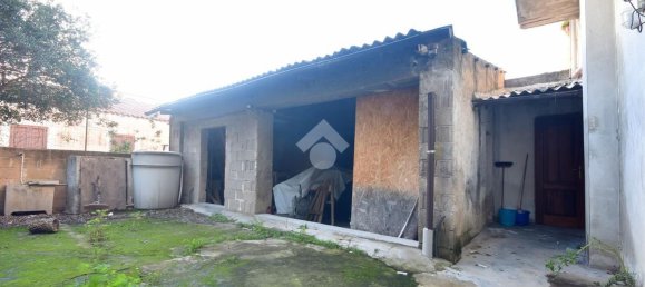  مستودع في Olbia, Italy 160متر مربع رقم 298224 21