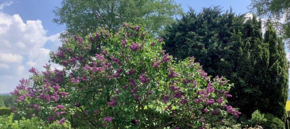 2 chambres Maison à Hof, Germany No. 267411 14