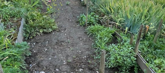 6 غرف نوم تاون هاوس في Bernkastel-Wittlich, Germany رقم 318730 13