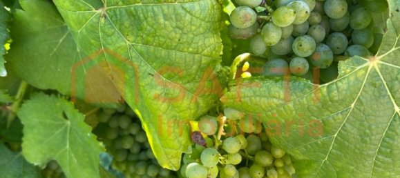 5 bedrooms House in Lousada, Portugal No. 128577 7