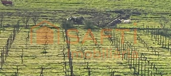 5 bedrooms House in Lousada, Portugal No. 128577 33