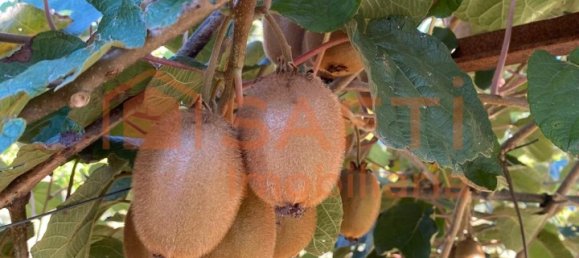 5 bedrooms House in Lousada, Portugal No. 128577 21