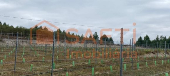 5 bedrooms House in Lousada, Portugal No. 128577 32