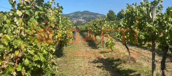 5 bedrooms House in Lousada, Portugal No. 128577 22