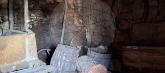 1 Schlafzimmer Haus in Sao Mamede de Ribatua, Portugal, Nr. 168584 9