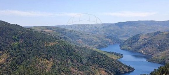 1 Schlafzimmer Haus in Sao Mamede de Ribatua, Portugal, Nr. 168584 20