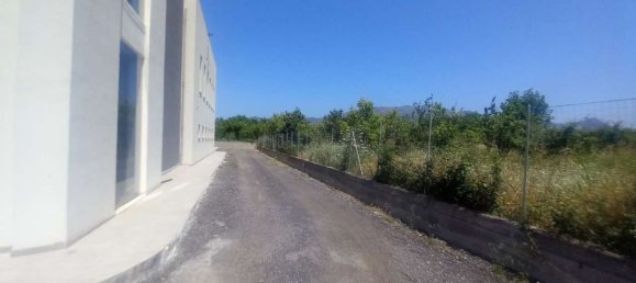  عقار تجاري في Giardini-Naxos, Italy 1000متر مربع رقم 282762 32