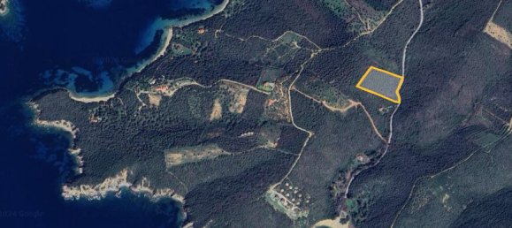 Hotel in Chalkidiki, Greece 11446m², Nr. 54091 6
