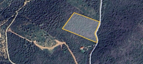 Hotel in Chalkidiki, Greece 11446m², Nr. 54091 5
