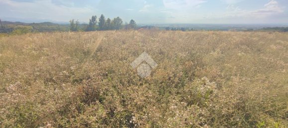 Terrain à Carezzano, Italy 10745m² No. 282548 23