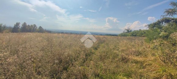 Terrain à Carezzano, Italy 10745m² No. 282548 15