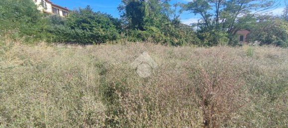 Terrain à Carezzano, Italy 10745m² No. 282548 11