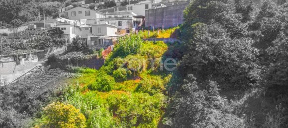 1320m² Land in Funchal, Portugal No. 89978 11