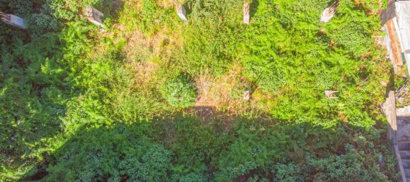 1320m² Land in Funchal, Portugal No. 89978 6