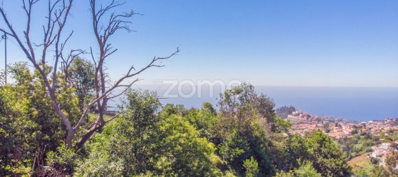 1320m² Land in Funchal, Portugal No. 89978 8