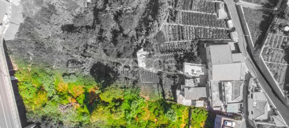 1320m² Land in Funchal, Portugal No. 89978 5