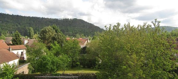 1 Schlafzimmer Haus in Raon-l'Etape, France, Nr. 92281 11