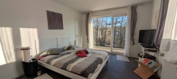 4 bedrooms House in Hagenthal-le-Bas, France No. 160368 13