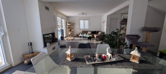 4 bedrooms House in Hagenthal-le-Bas, France No. 160368 2