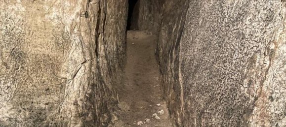 Здание с 9 комнатами в Лихтенфельс, Германия № 183950 32