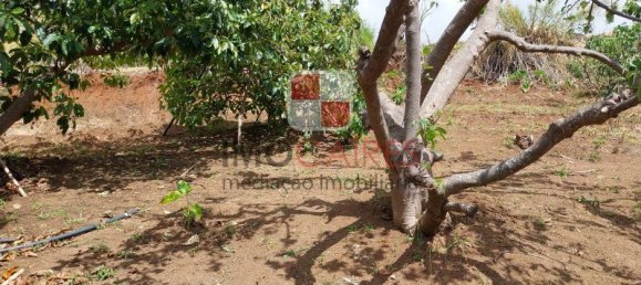 4 bedrooms House in Ponta do Sol, Portugal No. 143465 16