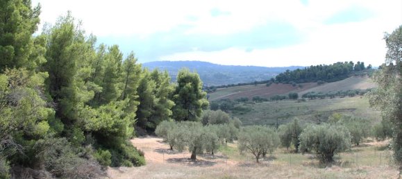 4 bedrooms Commercial property in Chalkidiki, Greece No. 8081 9