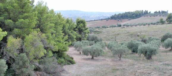 4 bedrooms Commercial property in Chalkidiki, Greece No. 8081 10