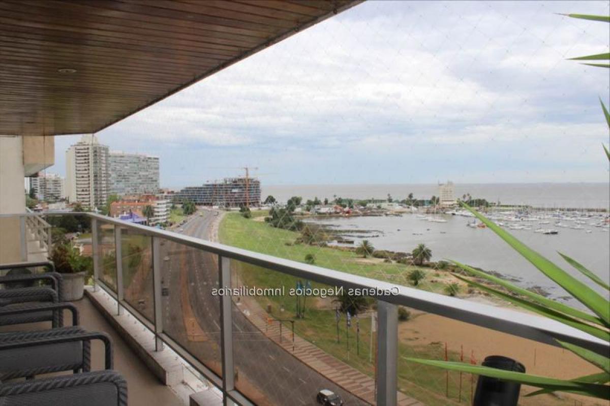 3 bedrooms Apartment in Montevideo, Uruguay No. 9146