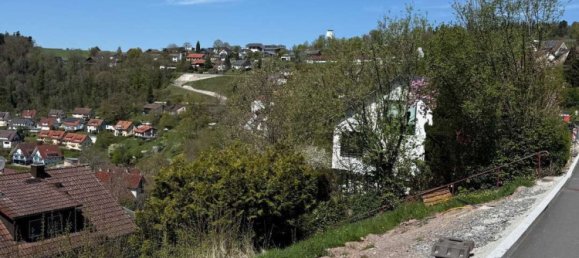 Terreno en Calw, Germany No. 231534 8