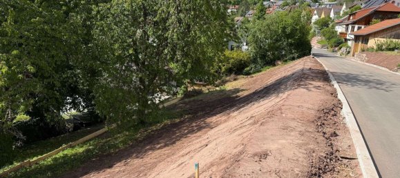 Terreno en Calw, Germany No. 231534 11