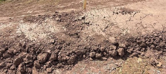 Terreno en Calw, Germany No. 231534 10