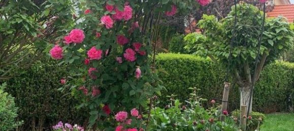 6 bedrooms House in Landsberg am Lech, Germany No. 72189 41