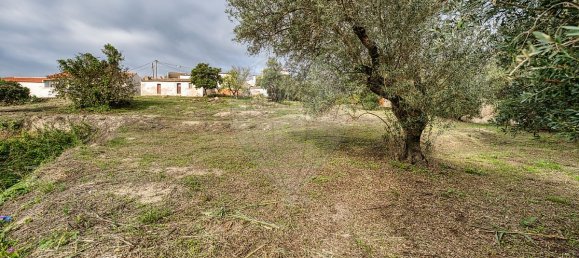 2 bedrooms House in Azambuja, Portugal No. 49852 14