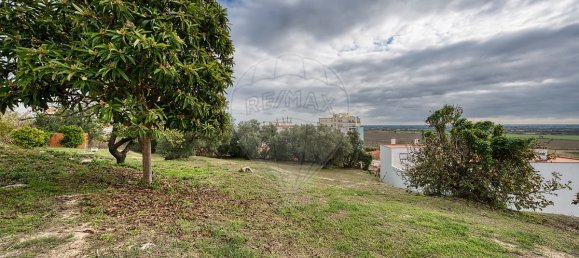 2 bedrooms House in Azambuja, Portugal No. 49852 13