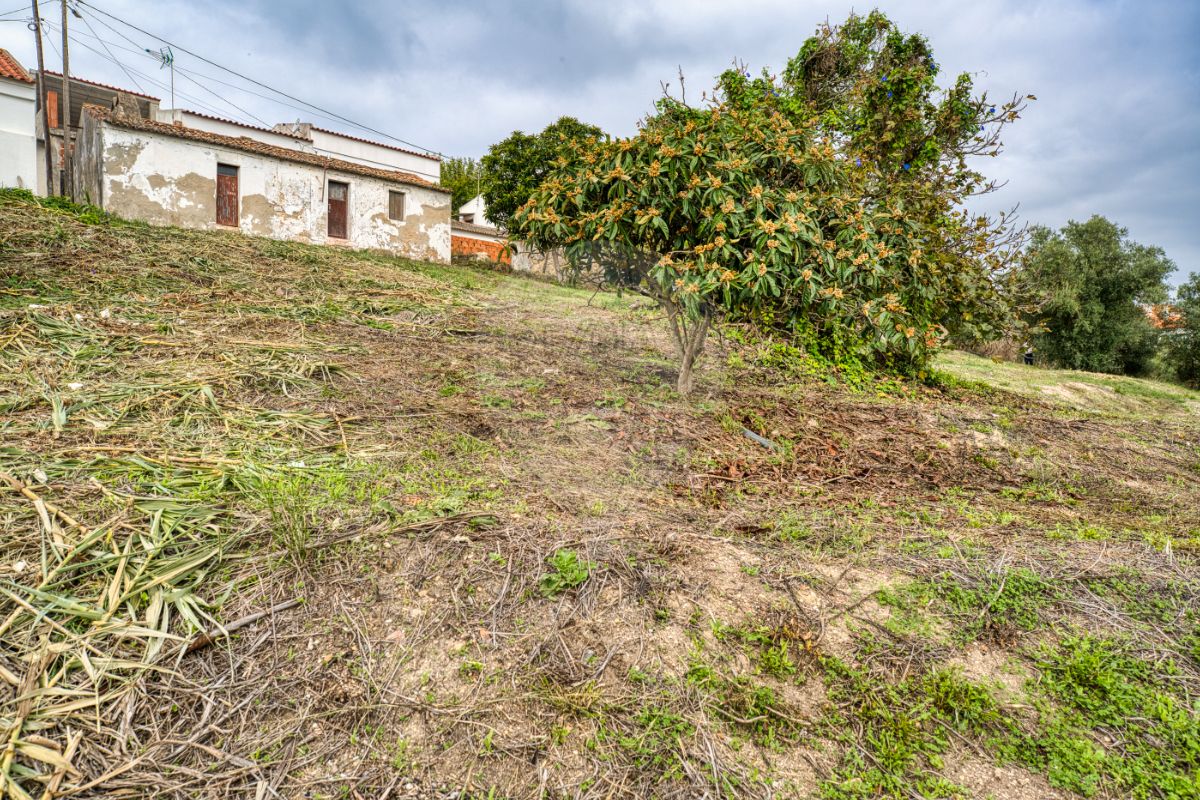 2 bedrooms House in Azambuja, Portugal No. 49852