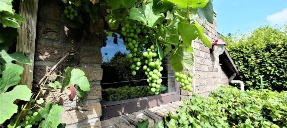 Дом с 4 спальнями в Клеве, Германия № 213916 20