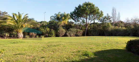 1 bedroom Apartment in Quarteira, Portugal No. 116795 17