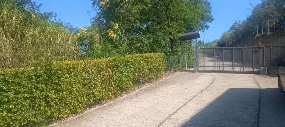 7 غرف نوم شقة في Rovito, Italy رقم 375227 4