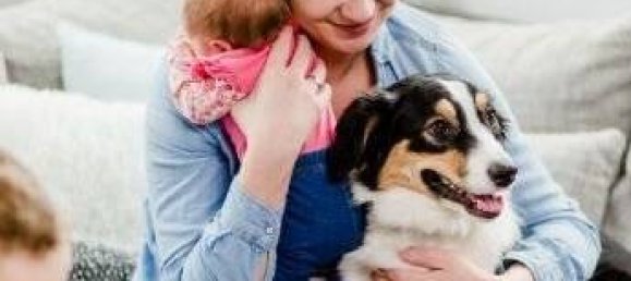 5 rooms House in Kusel, Germany No. 104983 13