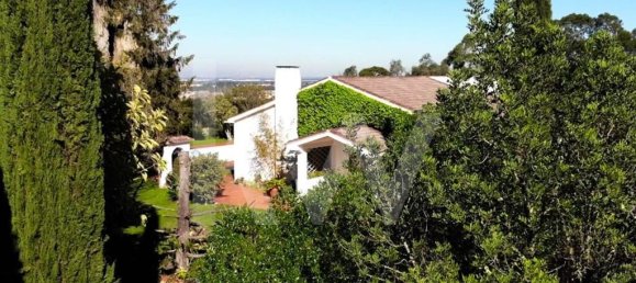 6 bedrooms House in Setubal, Portugal No. 91630 7