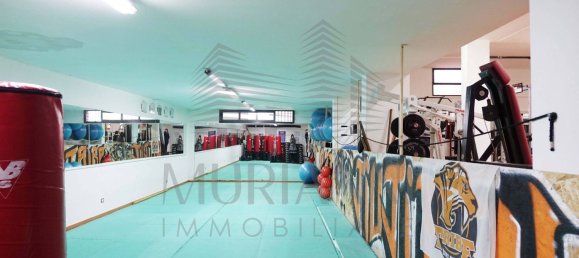 320m² Commercial property in Sannicandro di Bari, Italy No. 104757 5