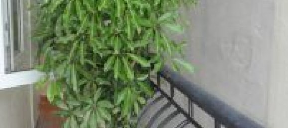 2 Schlafzimmer Wohnung in Ba Dinh, Vietnam, Nr. 3224 12