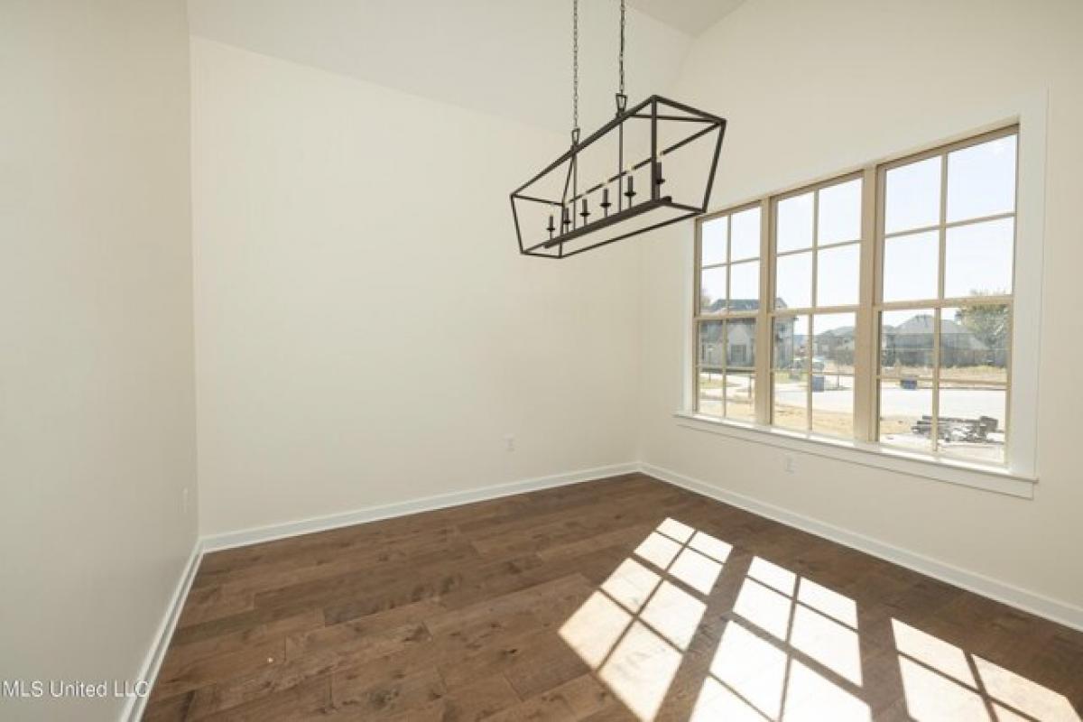 5 bedrooms House in Olive Branch, USA No. 434338