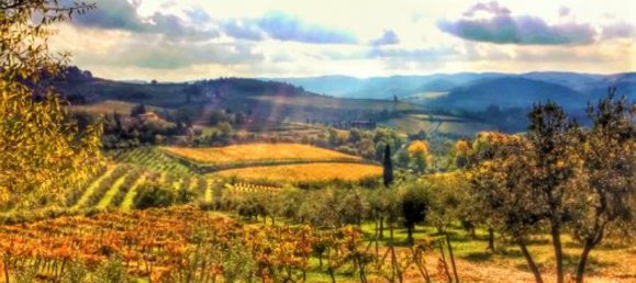 4 rooms House in Capannori, Italy No. 192436 9