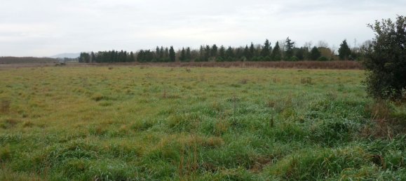 10 rooms House in Grosseto, Italy No. 131101 6