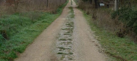 10 rooms House in Grosseto, Italy No. 131101 35